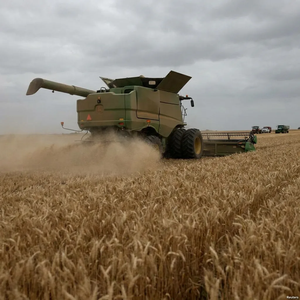 Moderne landbruksmaskiner som høster hvete på en stor åker i Argentina
